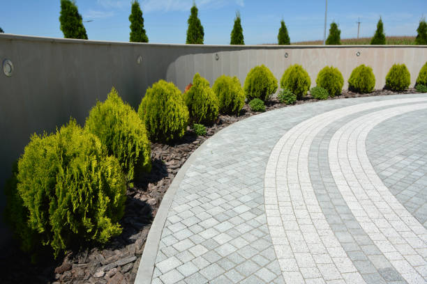 Best Professional Driveway Pavers  in Marcus, IA